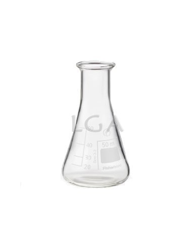 Erlenmeyer