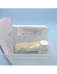 Kit for the preparation of Gastro resistant capsules -...